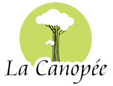 canopee
